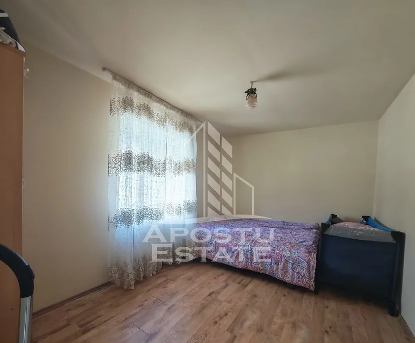 Casa de vanzare renovata Sag Timis