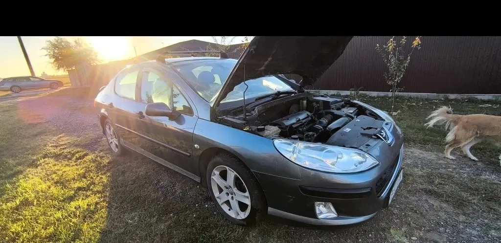 Peugeot 407 paladine 1 000 eur