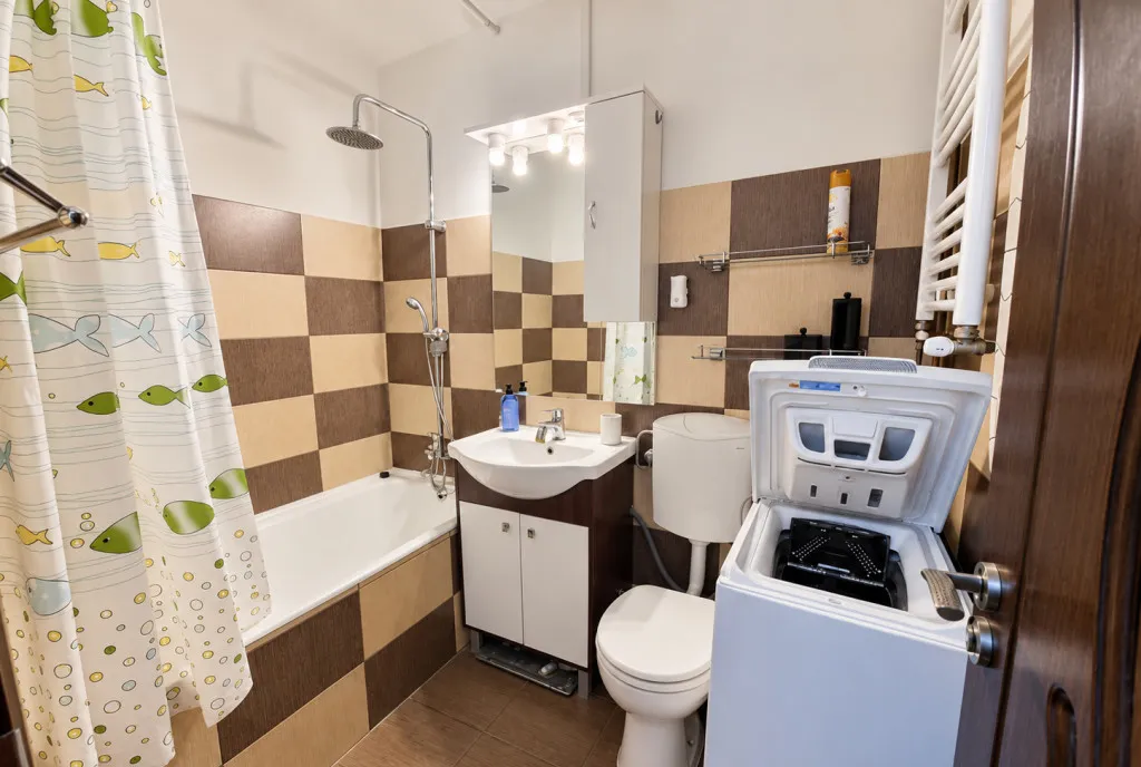 Apartament cu o camera Lipovei