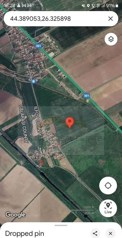 Teren intravilan de vanzare Cernica - Tanganu 4 loturi x 954 mp Investitie