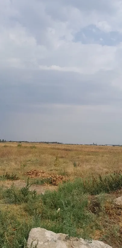Bragadiru Ilfov