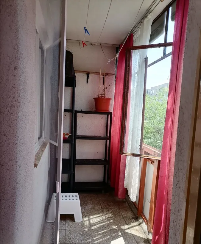 Crangasi Vintila Mihailescu