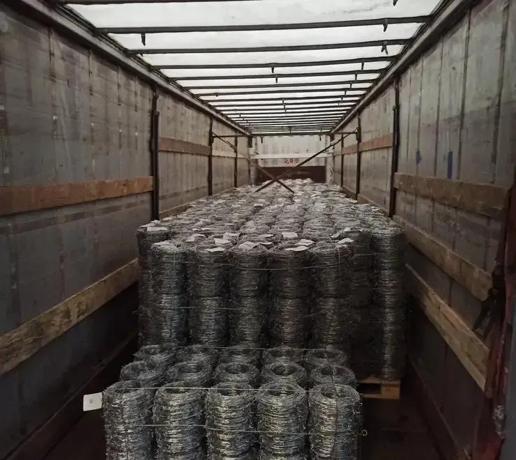 Sarma ghimpata Vanzare en-gros