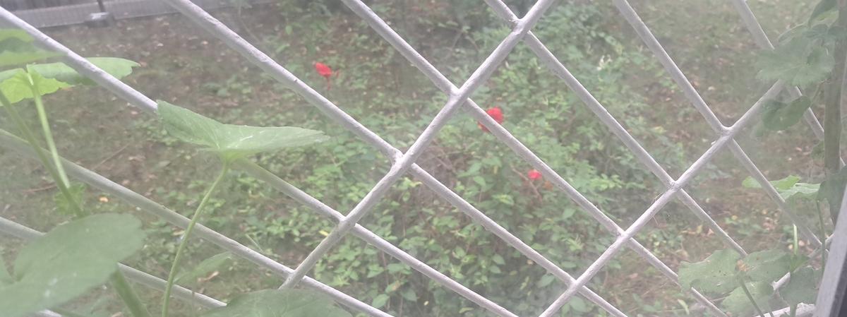 Brancoveanu particular parter inalt/4 mobilat