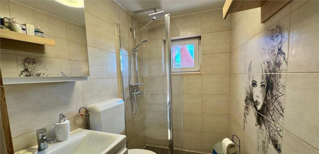 FILMTur 3D Casa eleganta curte amenajata garaj Central Bra