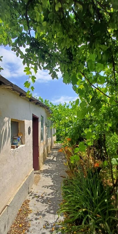 Casa traditionala de vanzare