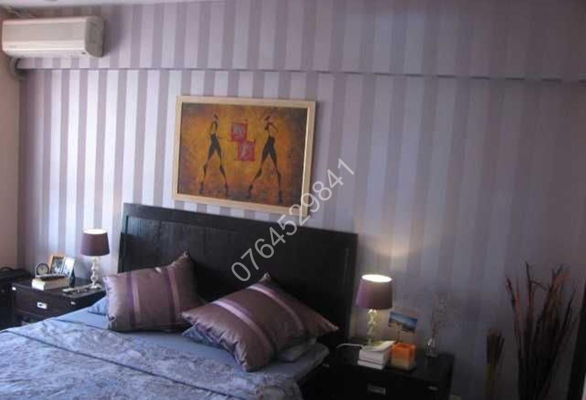 Herastrau Aviatiei Str N Caramfil pet friendly 10min metrou