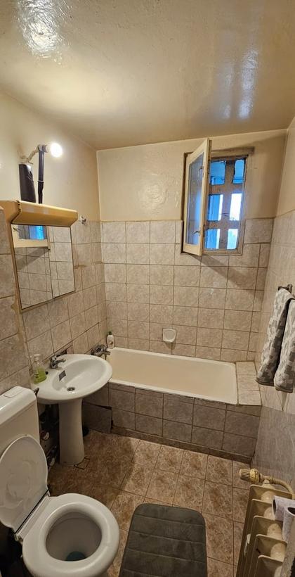 Baba Novac stradal vedere parc ior Mall Park Lake