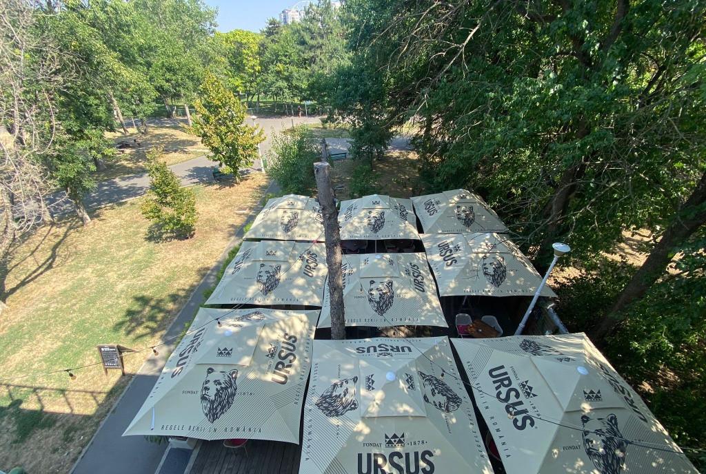 Restaurant de inchiriat Parcul Tineretului