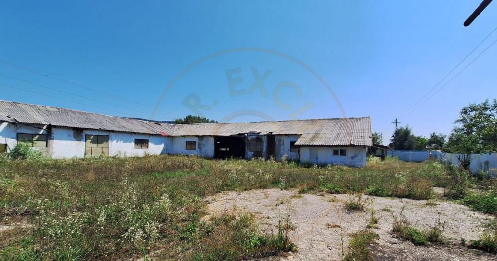 Proprietate industriala de vanzare - Hartiesti jud Ar