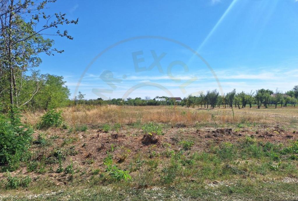 Proprietate industriala de vanzare - Hartiesti jud Ar