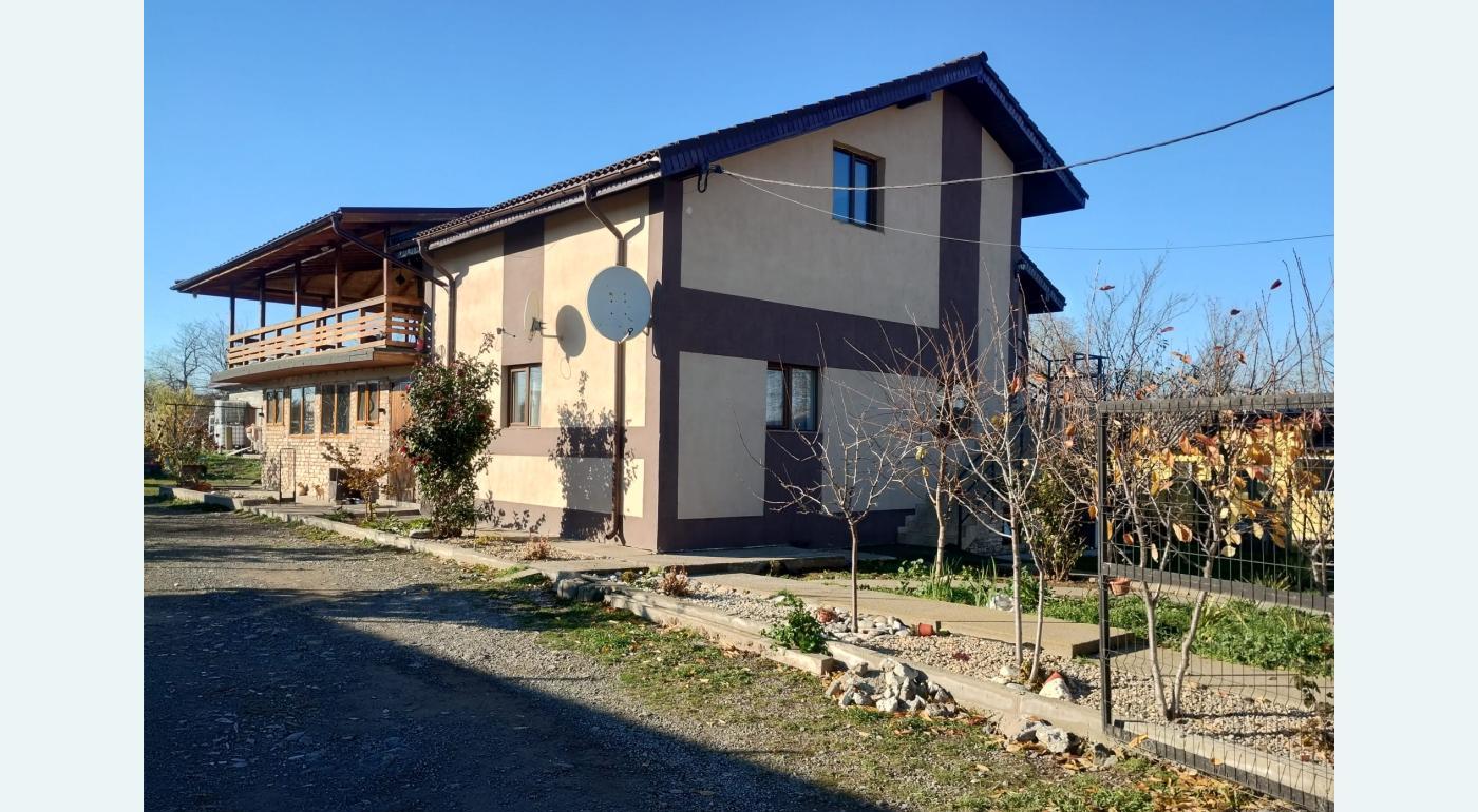 Vanzare proprietate Ciocarlia