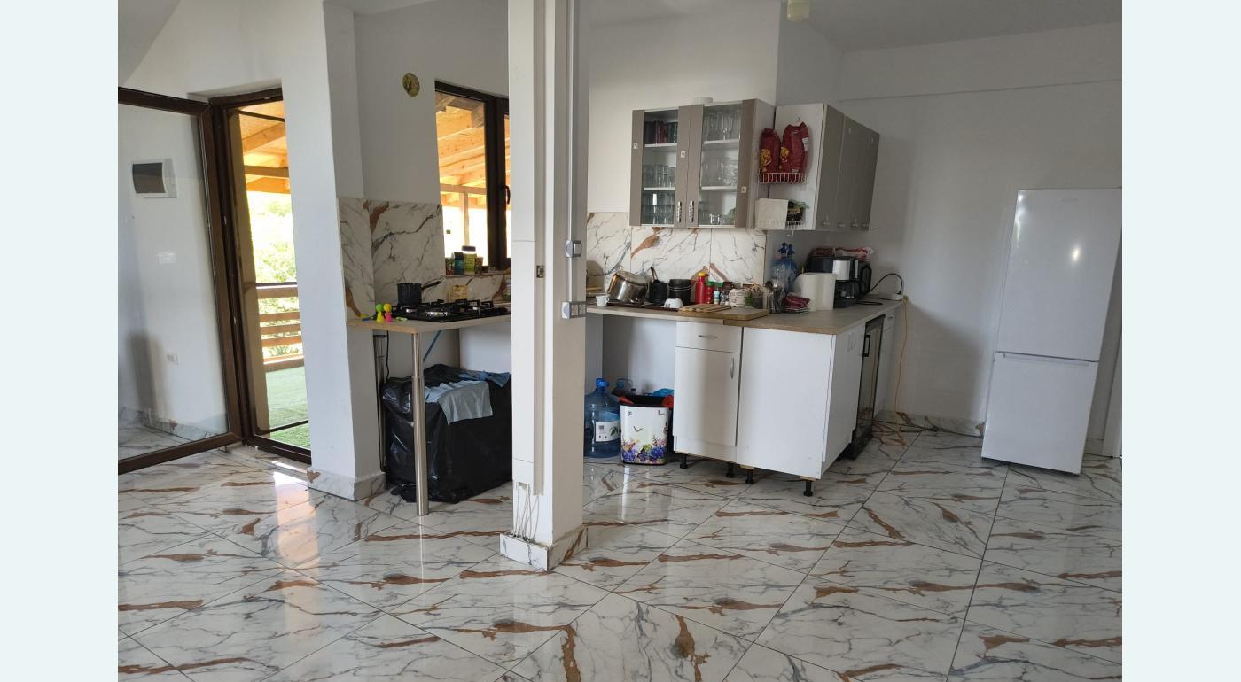 Vanzare proprietate Ciocarlia