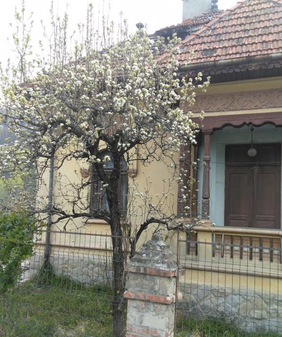 Casa boiereasca/conac central zona superba a Muscelului