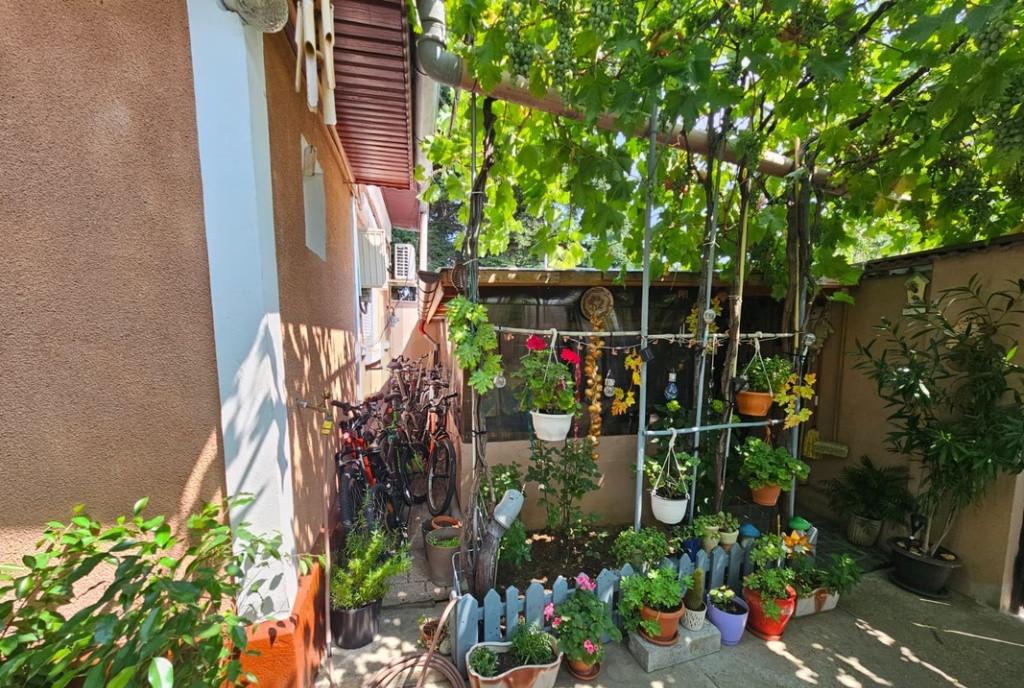 Casa de I zona Mihai Bravu I teren 345 mp