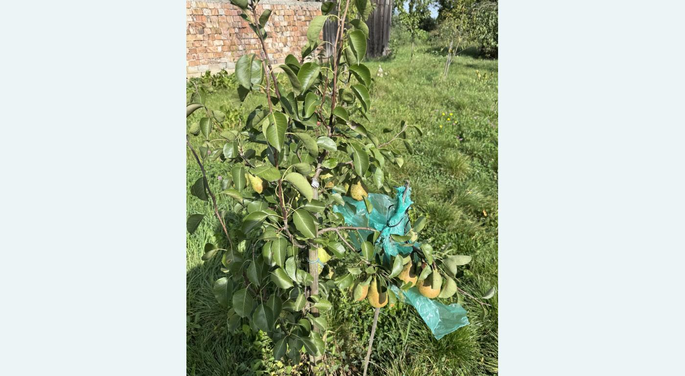 Casa de Casa Vanzare GORNESTI- Renovata 2025 semifinisata