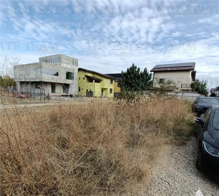 Apartament de 4 camere si curte/ Domnesti