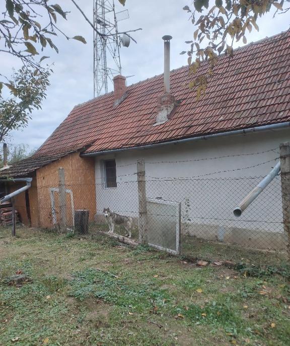 Casa str salcamilor nr 68