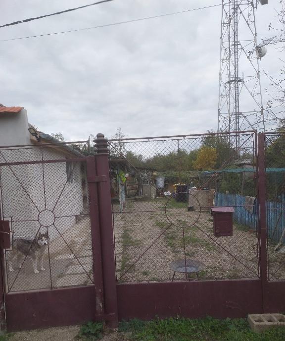 Casa str salcamilor nr 68