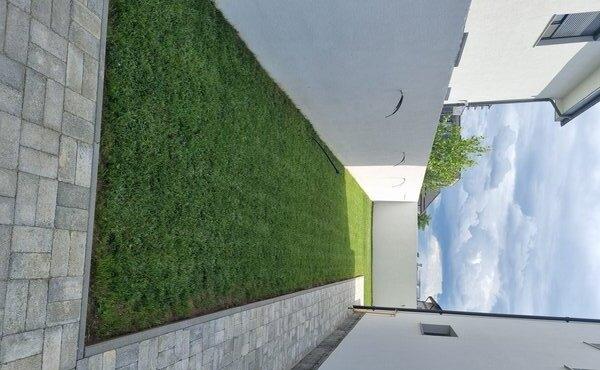 Pantelimon Lebada Lac