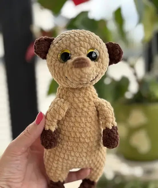 Suricata crosetata manual