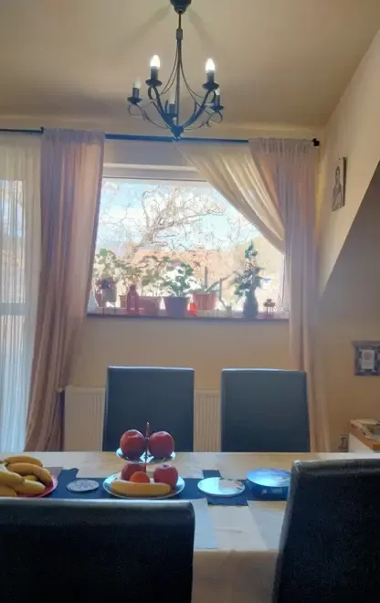 Apartament cu priveliste minunata spre munti in vila- Busteni