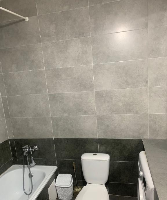 De inchiriat apartament 1 camera zona Horea