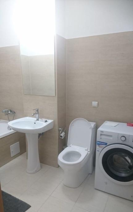 Apartament cu o camera de inchiriat in zona P ta Mihai Viteazul