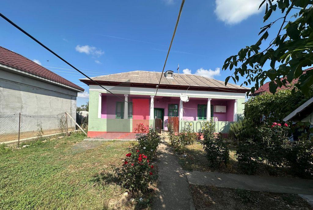 Garsoniera 33 Mp Dristor/ Camil Ressu