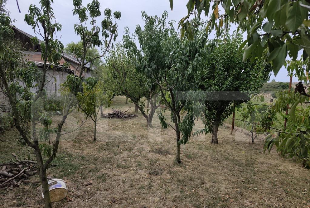 Apartament 3 camere la cheie cu gradina 77mp parcare zona