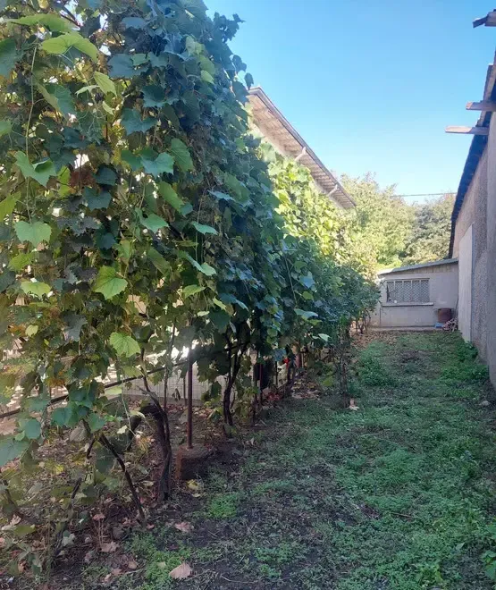 Casa de vanzare in braila in cartierul pisc vidin