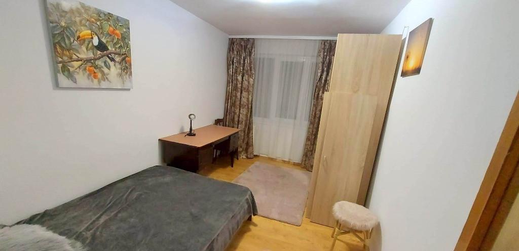 Apartament 1 camera D in T Vladimirescu