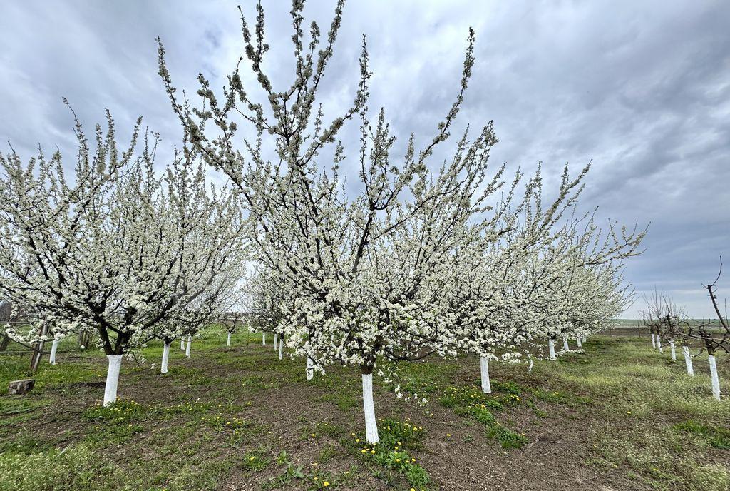 Inchiriez parcare acoperita Top City Coresi Covered par