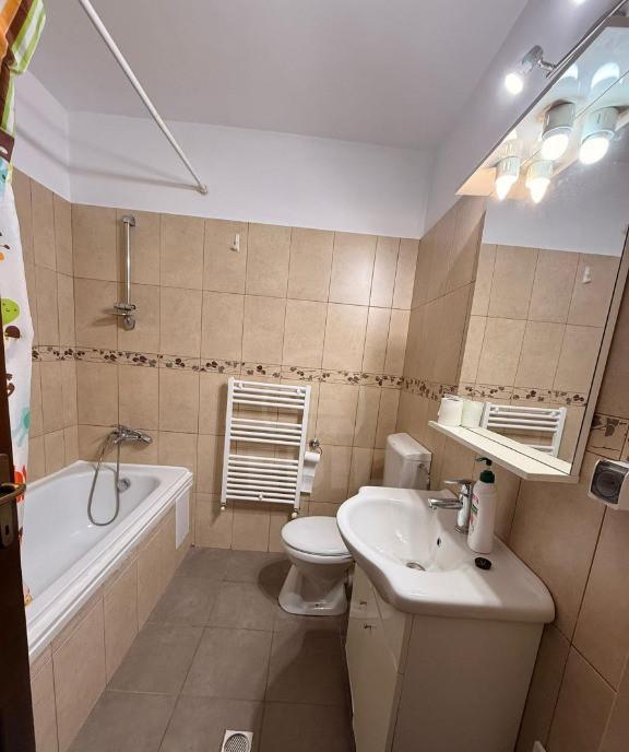 Apartament 1 camera zona Prof Ioan Rus