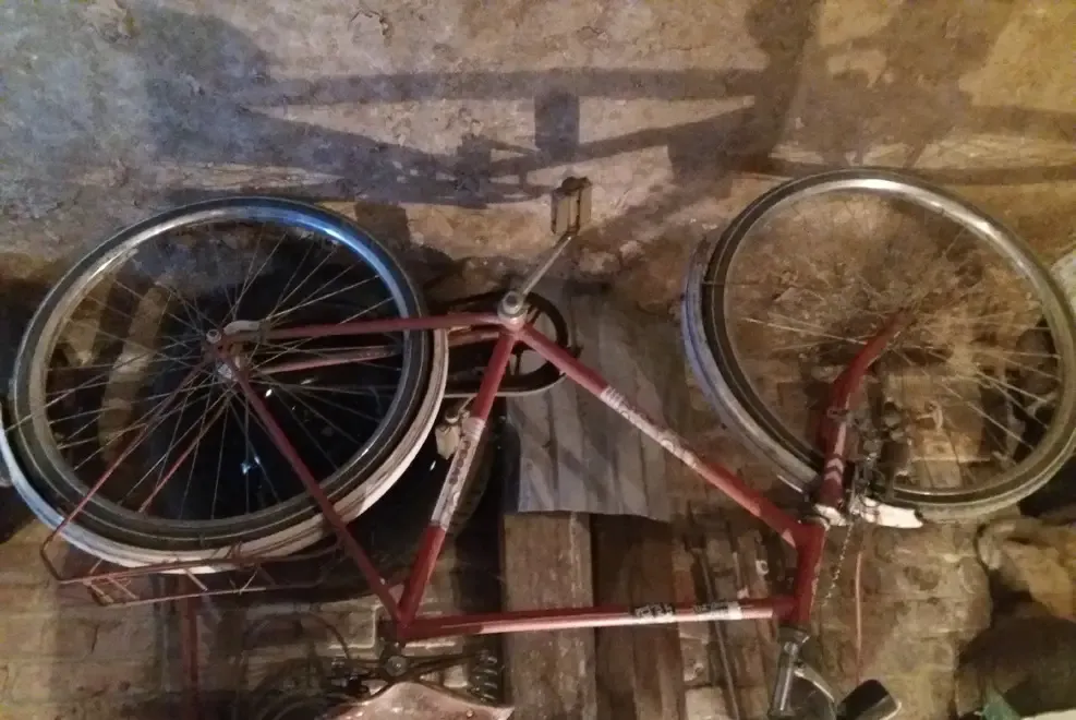 Bicileta barbateasca PEGAS