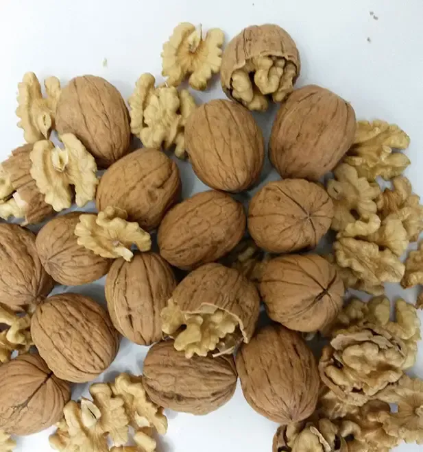 Investeste in livada de nuc geoagiu