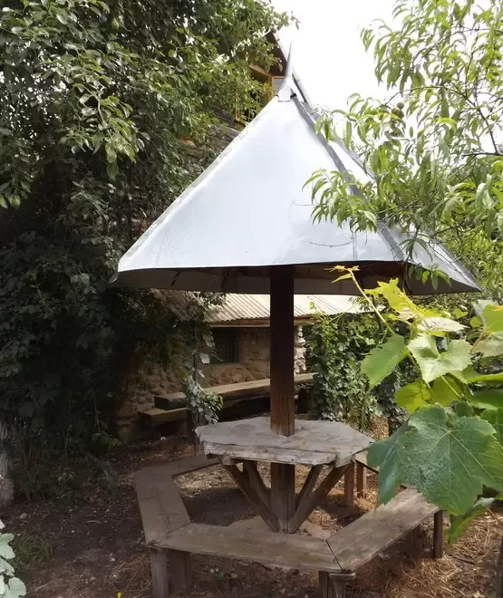 Vind cabana cu teren cu vie si pomi fuctiferi