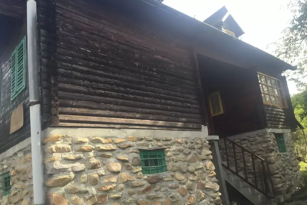 Vind cabana cu teren cu vie si pomi fuctiferi