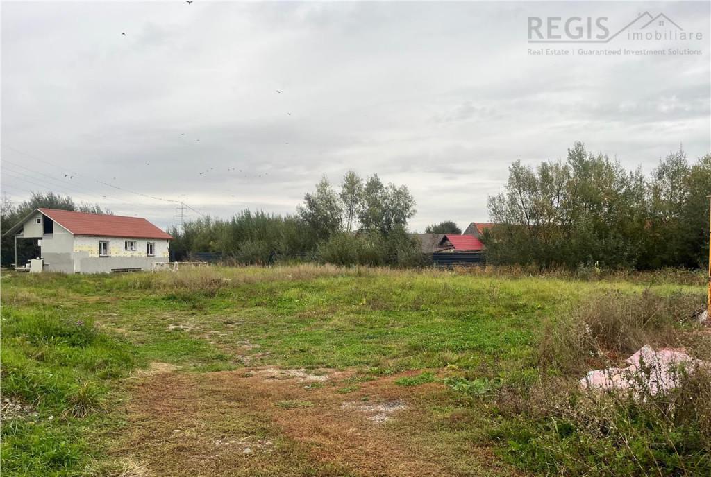 Casa 5 camere harman 1000MP teren