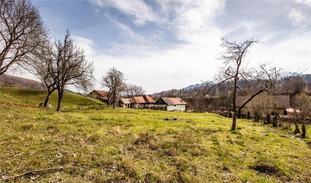 Film Pe domeniu de 6 500 mp teren casa parinteasca in mag