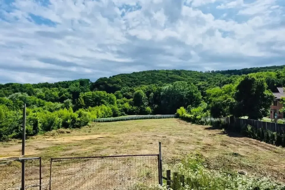 Teren de vanzare 5000 mp Deschidere 50 m