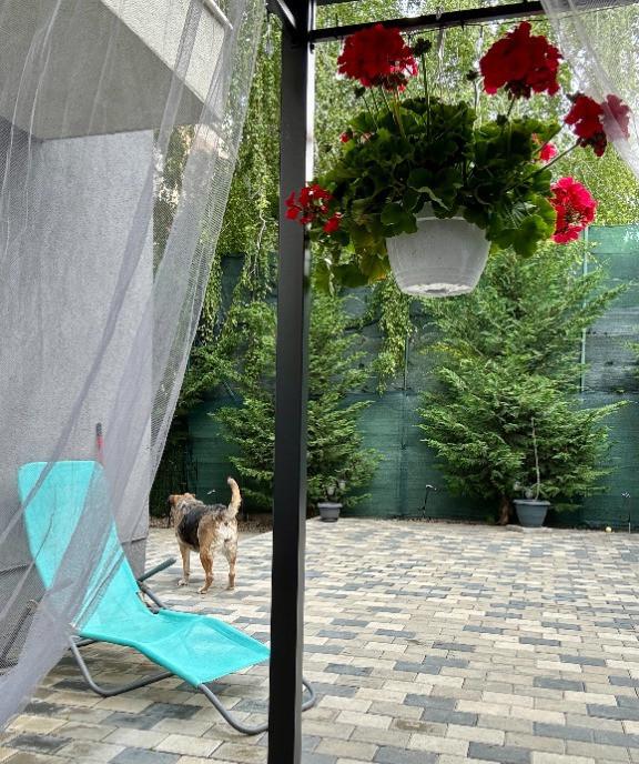 Apartamant 2 camere loc parcare subteran si graa Pipera Nord