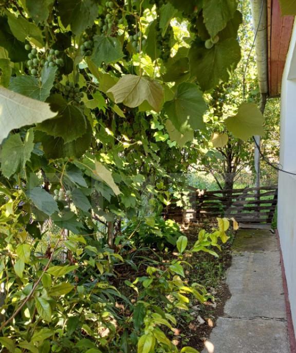 Casa renovabila 2 camere zona Cetate