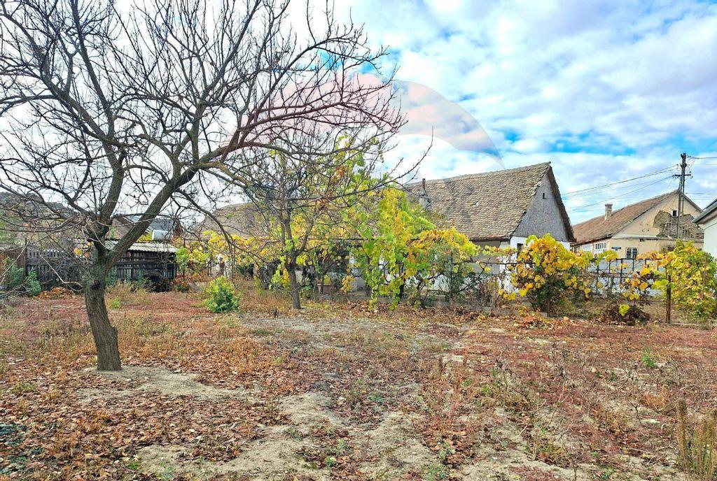 Casa veche cu teren 929 mp in Vladimirescu