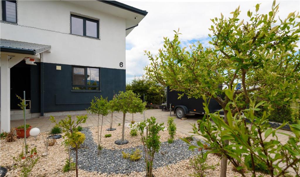 Proprietate deosebita in nota distinctiva Cristian Brasov