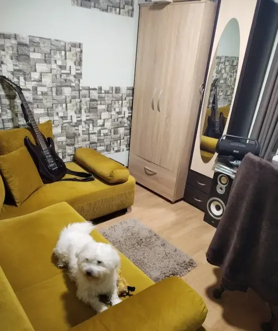 Apartament cu 2 camere