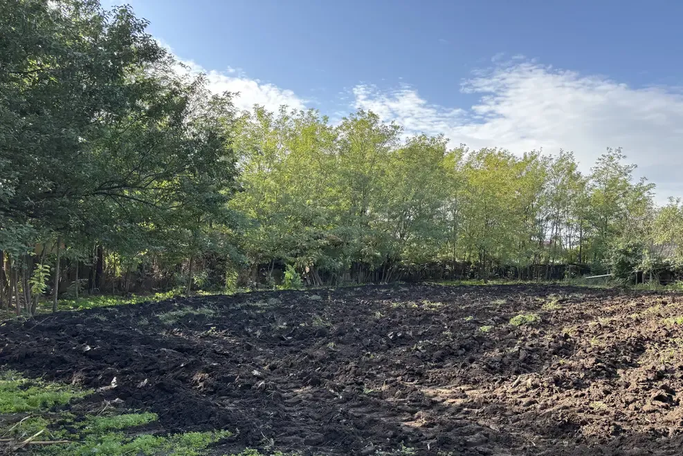 Vand teren cu casa batraneasca Movilita - Ialomita