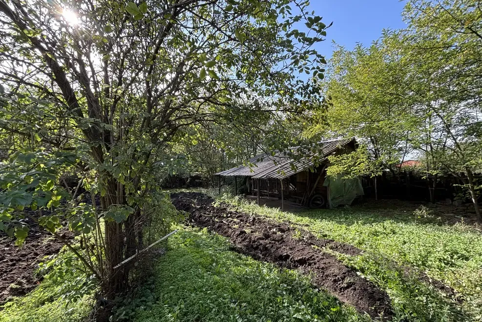 Vand teren cu casa batraneasca Movilita - Ialomita