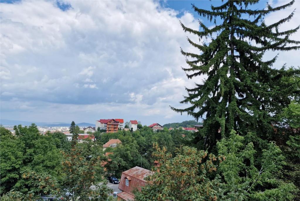 Spatiu Comercial stradal vitrinat Grivitei Brasov