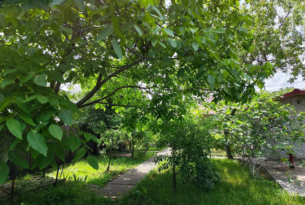 Casa in Satul Persunari Comuna Gura Vadului Judetul Prahova